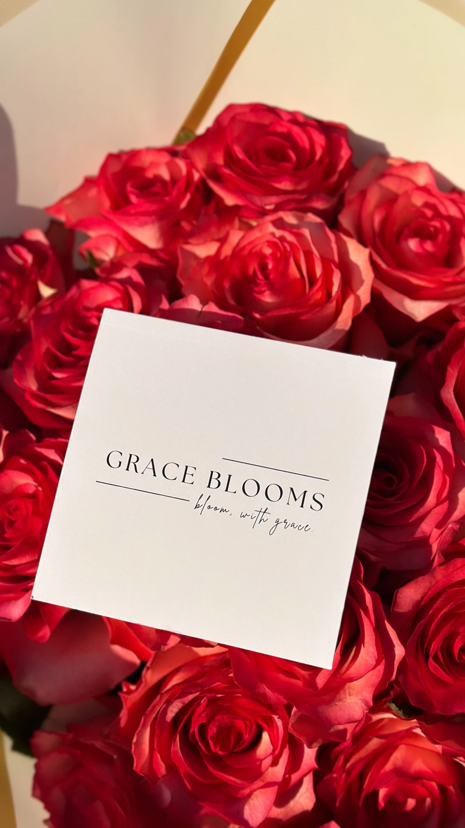 A Grace Blooms card resting among sunlit red roses